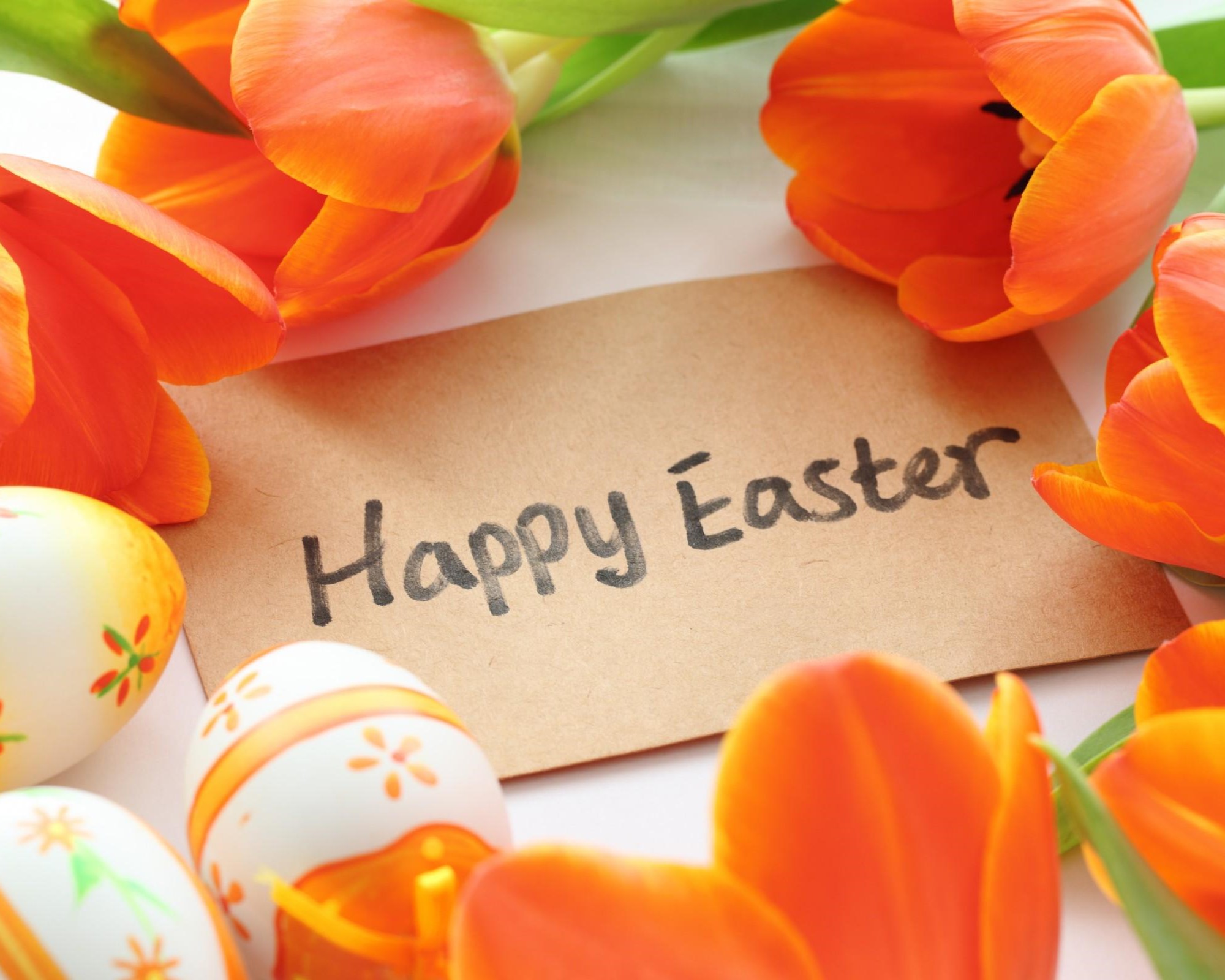 Happy Easter from Ashton Seals